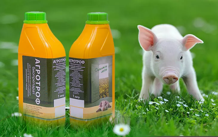 Фотография продукта Агротроф - компостирование навоза/помета