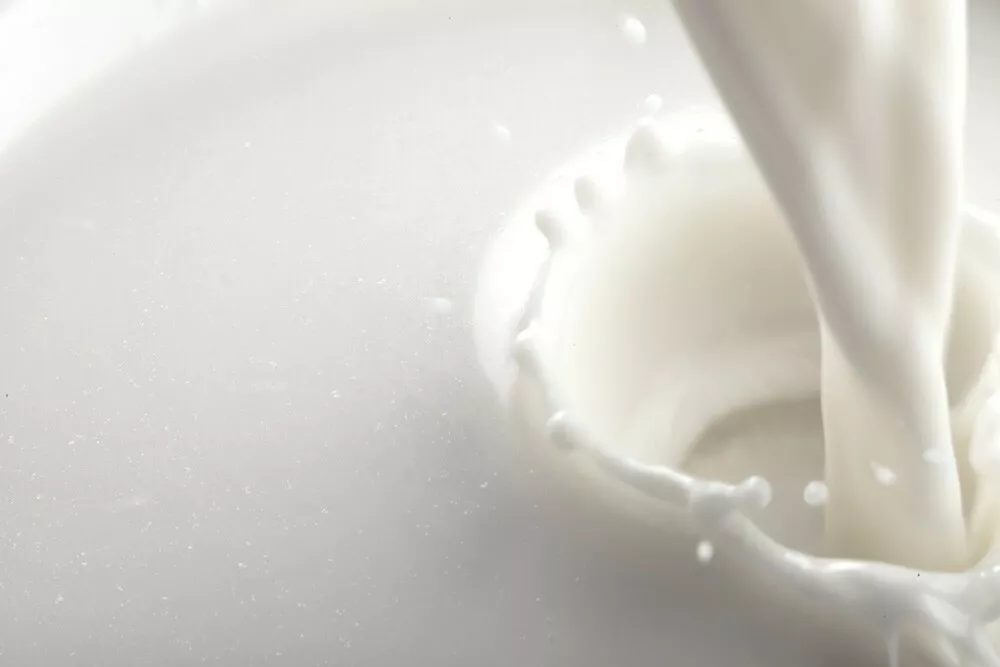 Фотография продукта Пастеризованное обезжиренное молоко 