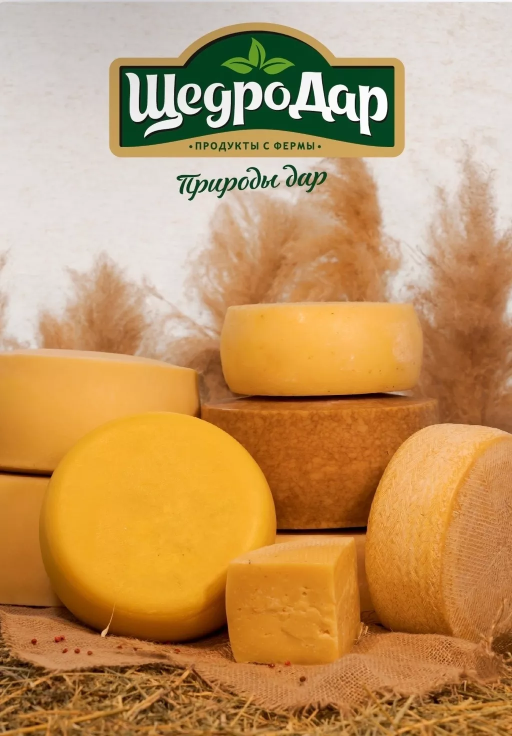 Фотография продукта 15 тонн твёрдого ремесленного сыра оптом